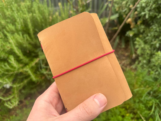 Passport Trifold